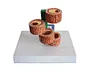 Artery disease model